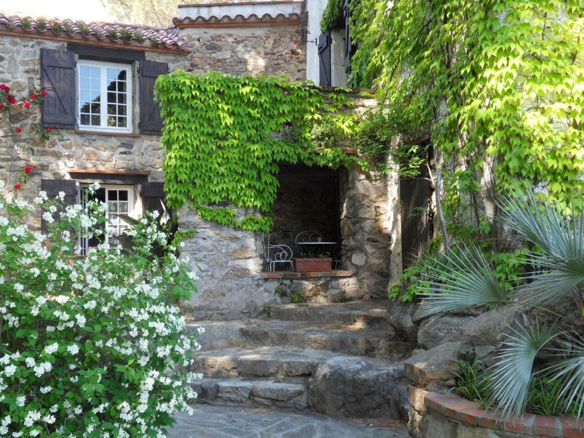 Mas Senyarich Villa Argeles-sur-Mer Bagian luar foto